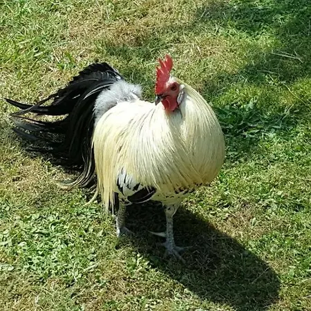 Insolite Les Tonneaux Sa Vue Magnifique Et Panoramique Semesterbostad *