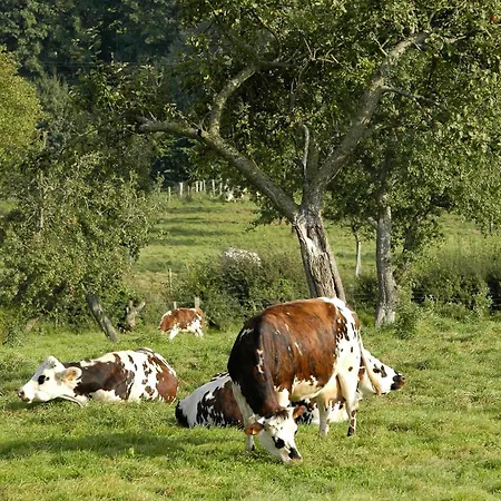 Insolite Les Tonneaux Sa Vue Magnifique Et Panoramique Semesterbostad Vimoutiers