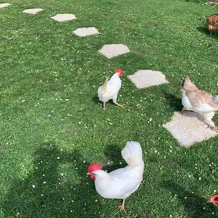 Insolite Les Tonneaux Sa Vue Magnifique Et Panoramique *