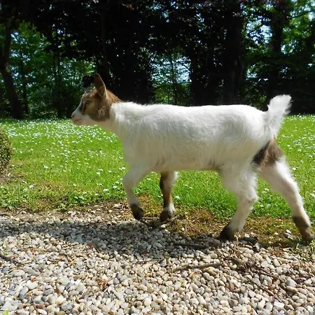 Semesterbostad Insolite Les Tonneaux Sa Vue Magnifique Et Panoramique *