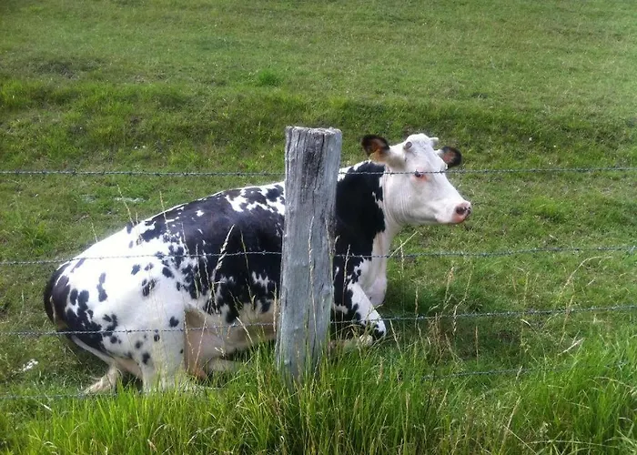 Vakantiehuis Insolite Les Tonneaux Sa Vue Magnifique Et Panoramique