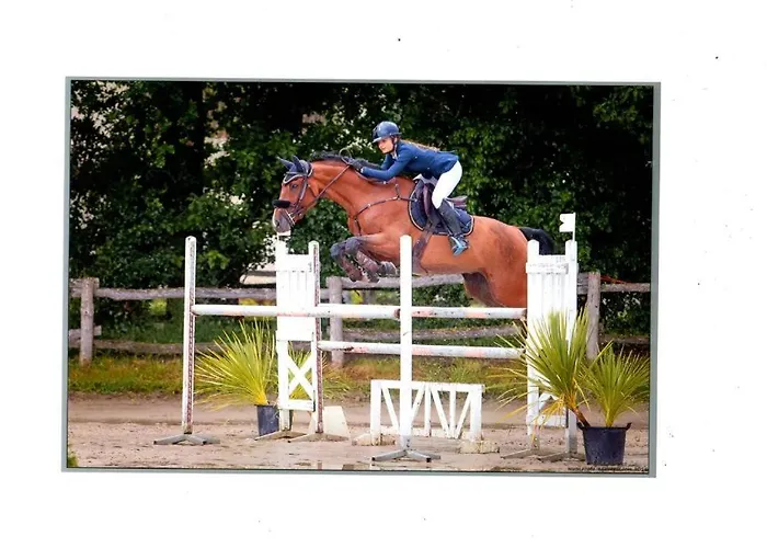 Vakantiehuis Insolite Les Tonneaux Sa Vue Magnifique Et Panoramique *