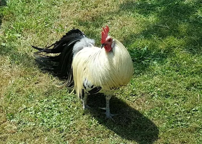 Insolite Les Tonneaux Sa Vue Magnifique Et Panoramique Vakantiehuis *