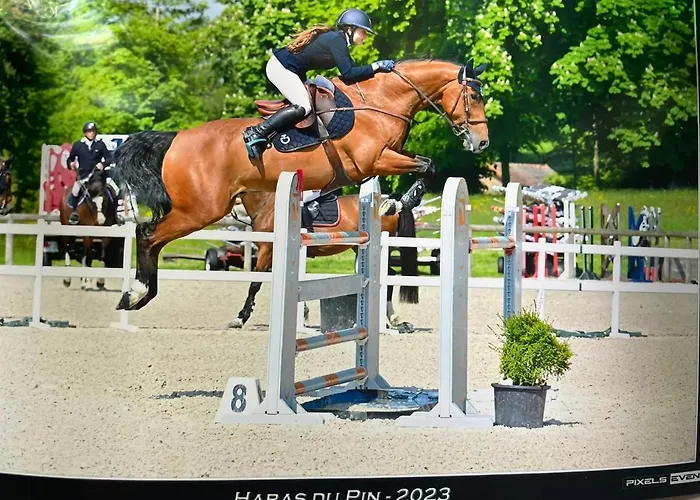 Insolite Les Tonneaux Sa Vue Magnifique Et Panoramique Σπίτι διακοπών *
