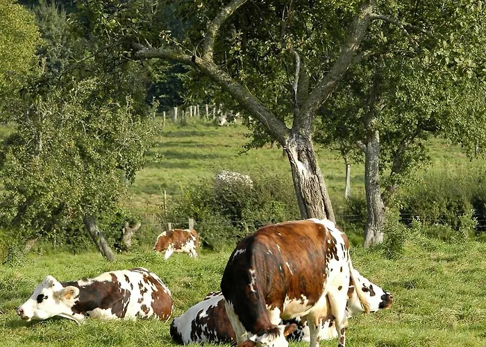 Insolite Les Tonneaux Sa Vue Magnifique Et Panoramique Σπίτι διακοπών Vimoutiers