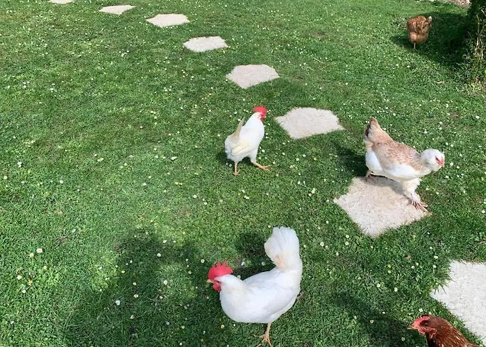 Insolite Les Tonneaux Sa Vue Magnifique Et Panoramique *