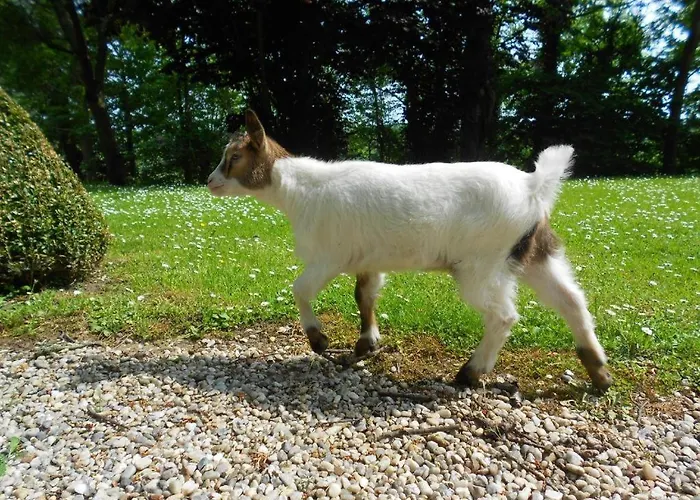 Σπίτι διακοπών Insolite Les Tonneaux Sa Vue Magnifique Et Panoramique *
